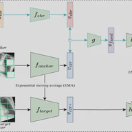 Multimodal masked siamese network improves chest X-ray representation learning