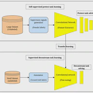 Self-Supervised Learning Methods and Applications in Medical Imaging Analysis: A Survey