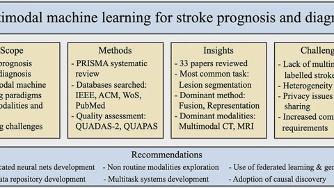 Multimodal Machine Learning for Stroke Prognosis and Diagnosis: A Systematic Review